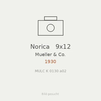 Norica   9x12