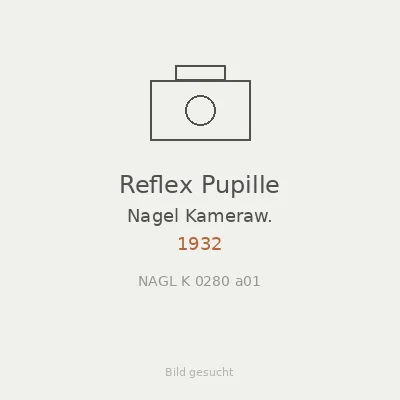 Reflex Pupille
