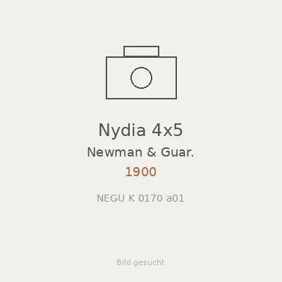 Nydia 4x5