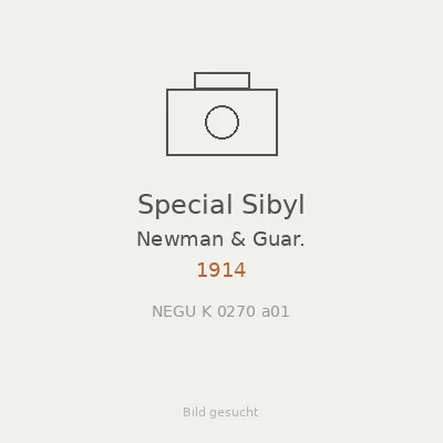 Special Sibyl