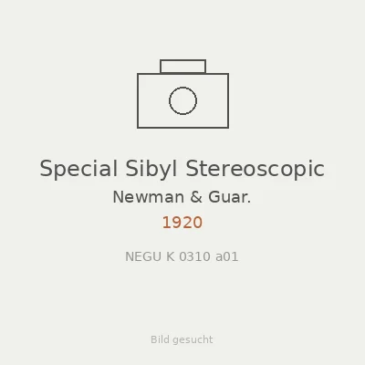Special Sibyl Stereoscopic