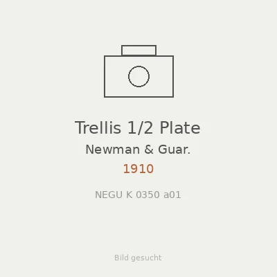 Trellis 1/2 Plate