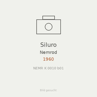 Siluro