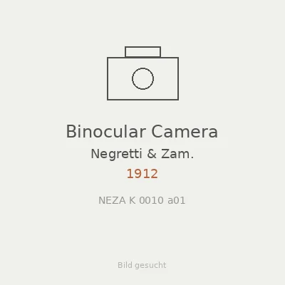 Binocular Camera