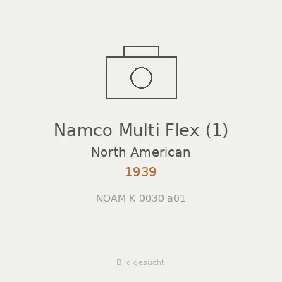 Namco Multi Flex (1)