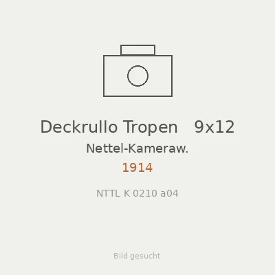 Deckrullo Tropen   9x12