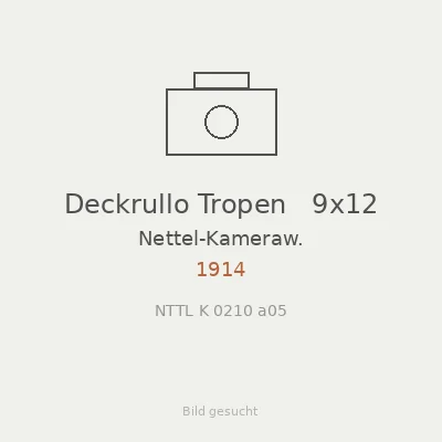 Deckrullo Tropen   9x12