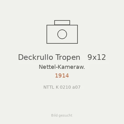 Deckrullo Tropen   9x12