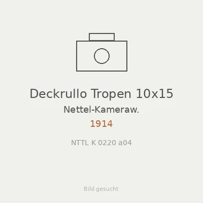 Deckrullo Tropen 10x15