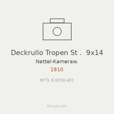 Deckrullo Tropen St .  9x14