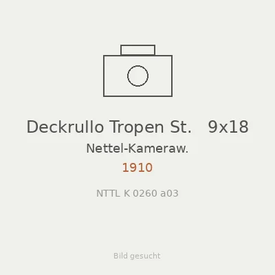 Deckrullo Tropen St.   9x18