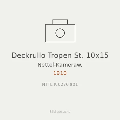 Deckrullo Tropen St. 10x15
