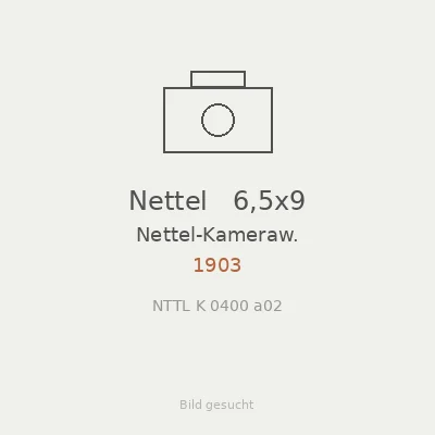 Nettel   6,5x9