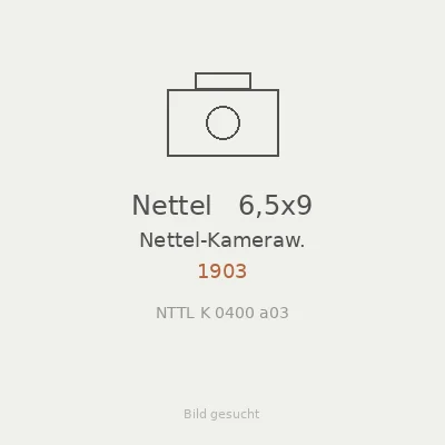 Nettel   6,5x9