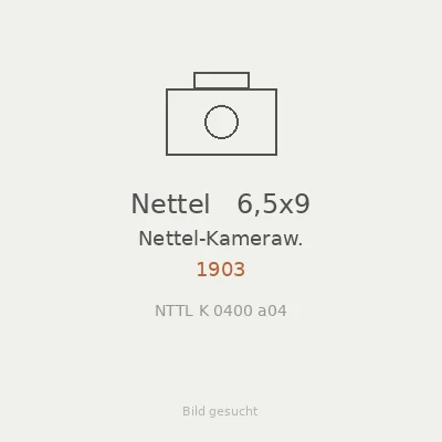 Nettel   6,5x9