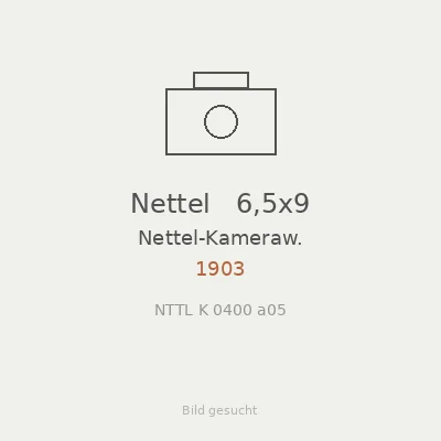 Nettel   6,5x9