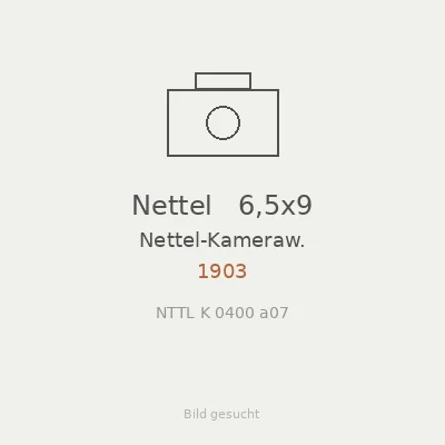 Nettel   6,5x9
