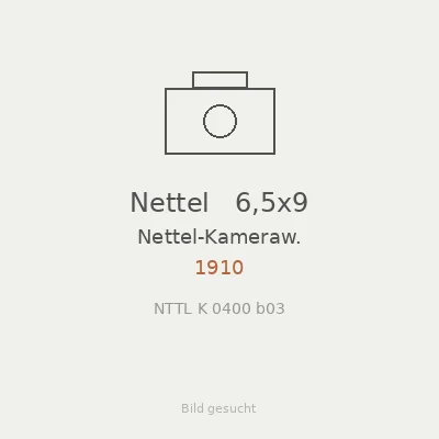 Nettel   6,5x9