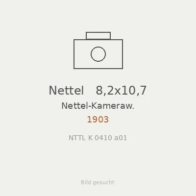 Nettel   8,2x10,7