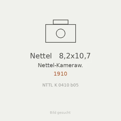 Nettel   8,2x10,7
