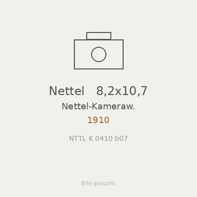 Nettel   8,2x10,7