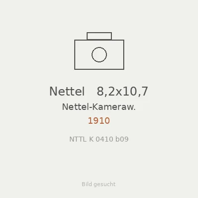 Nettel   8,2x10,7