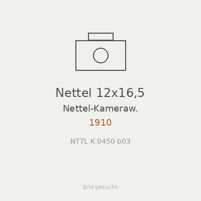 Nettel 12x16,5