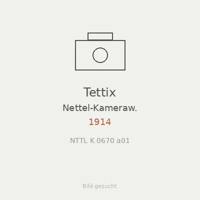 Tettix