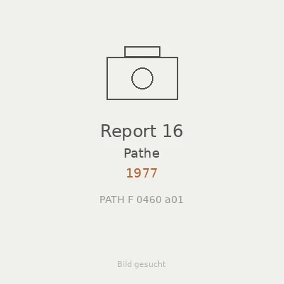 Report 16