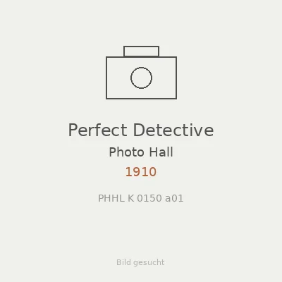 Perfect Detective