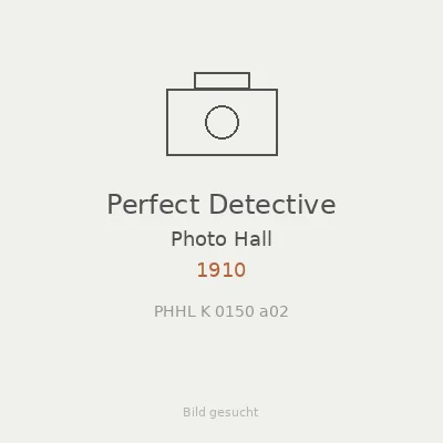 Perfect Detective