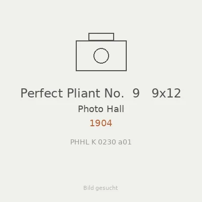 Perfect Pliant No.  9   9x12