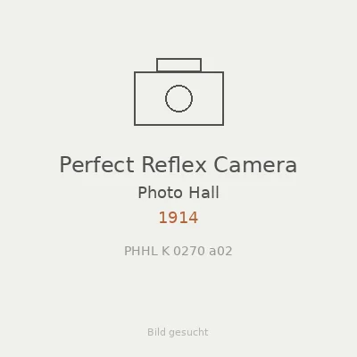 Perfect Reflex Camera