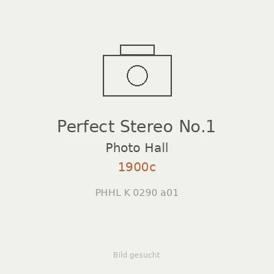Perfect Stereo No.1