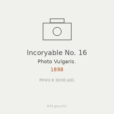 Incoryable No. 16