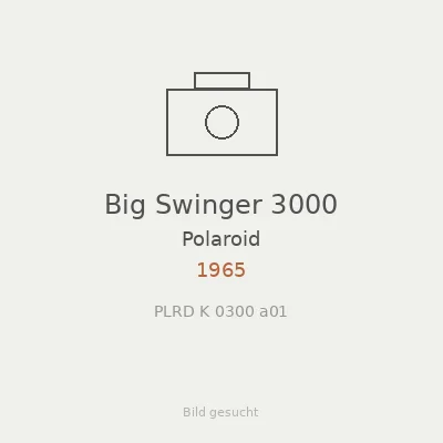 Big Swinger 3000