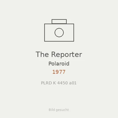 The Reporter