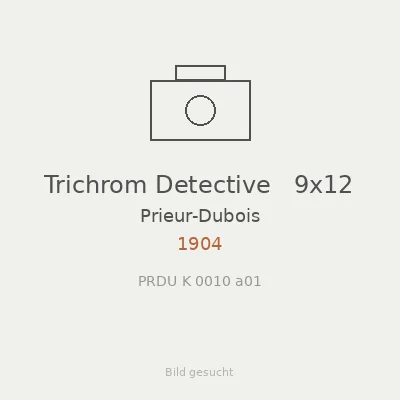 Trichrom Detective   9x12