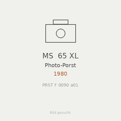 MS  65 XL