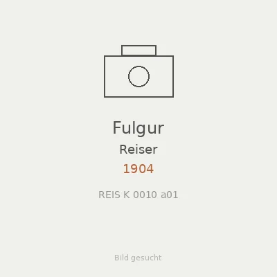 Fulgur