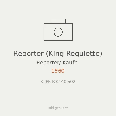 Reporter (King Regulette)