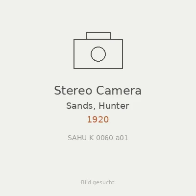 Stereo Camera