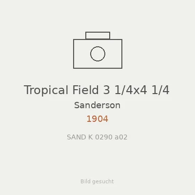 Tropical Field 3 1/4x4 1/4