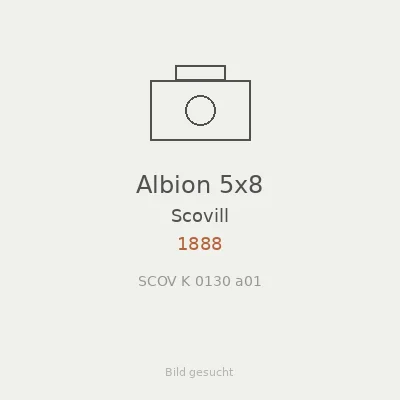 Albion 5x8