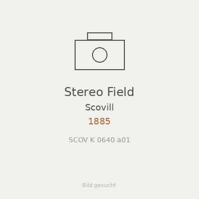 Stereo Field