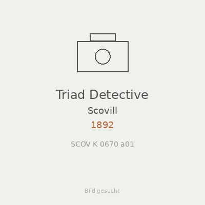 Triad Detective