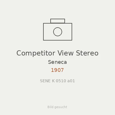 Competitor View Stereo