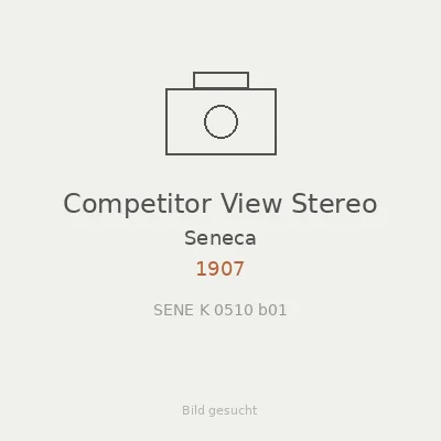 Competitor View Stereo
