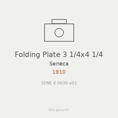 Folding Plate 3 1/4x4 1/4