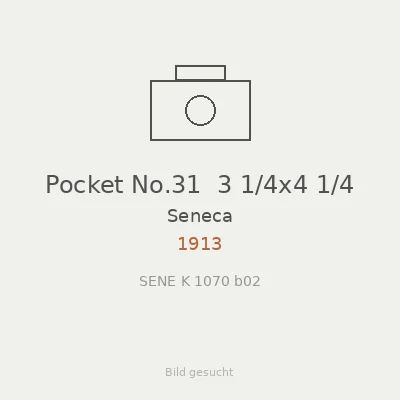 Pocket No.31  3 1/4x4 1/4